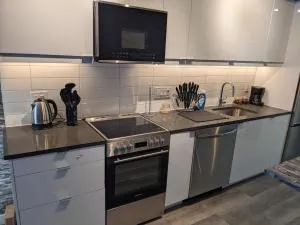 Beautiful 2 Bedroom Apt in downtown silverspring - 塔科马公园