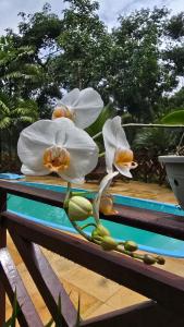 Villa Suíça Guaramiranga