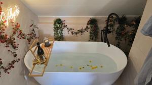Appartements L-alcove enchantee : photos des chambres