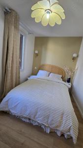 Appartements L-alcove enchantee : photos des chambres