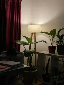 Hostel Bauti en Ezeiza - Lobos