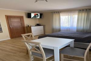 Studio in Mi dzywodzie near Baltic Beach