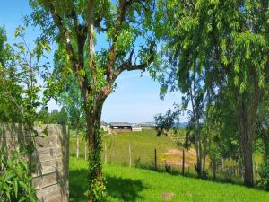 Maisons de vacances Charming House in Coubjours with Pool : photos des chambres