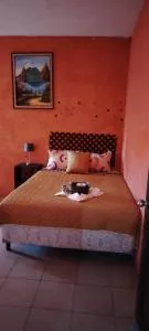 Casa Bismillah Antigua Guatemala - Chimaltenango