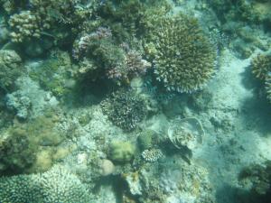 Playa Encantada Beach Resort