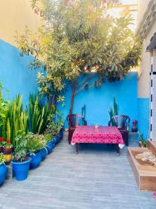 Appartement avec patio, Au centre ville, internet Fibre, canal plus, chaînes internationales