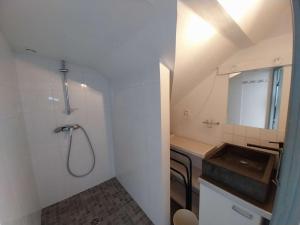 Appartements Charmant appartement atypique 51m² a Etel - FR-1-479-220 : photos des chambres
