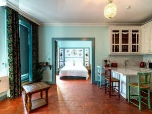 Appartement historique, animaux admis, centre de Pézenas - FR-1-607-213 - Aumes