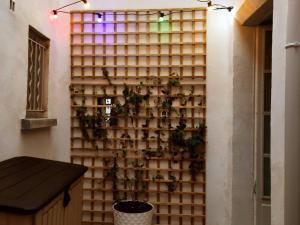 Appartements Studio de charme climatise centre de Pezenas, animaux admis - FR-1-607-212 : photos des chambres