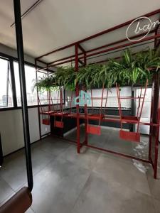 O sossego no meio da selva