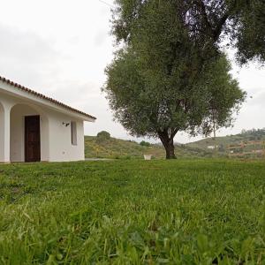 Agriturismo Neunele