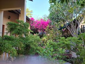 Nhà Nghỉ Sứ Trắng