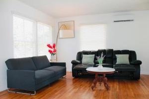 Los Angeles Blue Nest