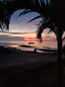 Palaboy Skatecamp Native House Beach Resort