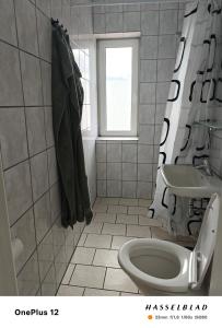 Zoo house near Billund Legoland