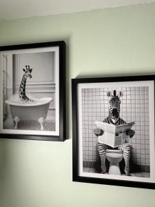 Appartements Ty Kerfany : photos des chambres