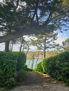 Appartements Ty Kerfany : photos des chambres