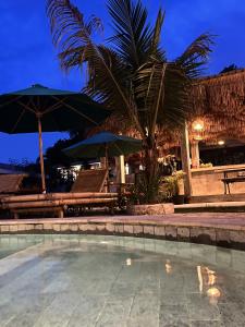 Palmhouse Boutique Hotel