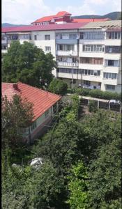 Apartament Alex