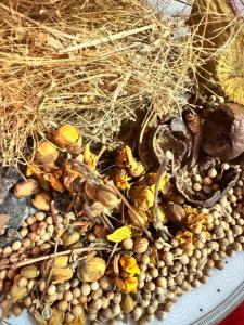 Surferce dream guest house