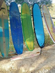 Ekas Family Homestay