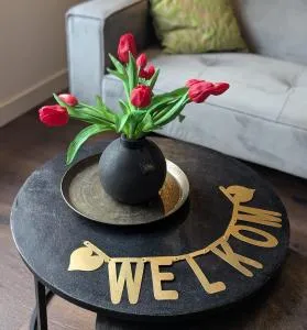 Mijn appartement - 辛佩尔费尔德