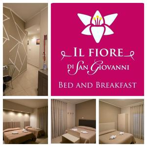 Il Fiore di San Giovanni B&B