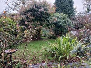 Pen-y-Bryn Hilltop Rest - Self contained 2 bed apt - Max 4 people