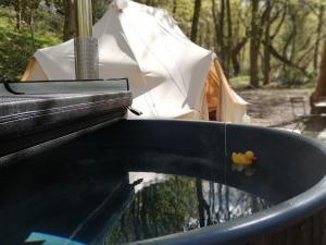 Secret Wood Glamping
