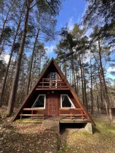 Sosnówka Domki - Borucino