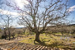 Villas Magnificent stone house in the heart of the Fayence region : photos des chambres