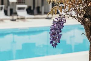 Aquavista Residence - Pied dans leau & Pool