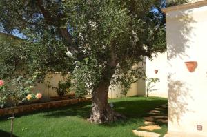 Masseria Le Celline