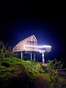 Cocoon Creek