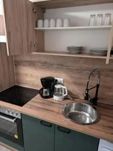 Exklusiv modernisierte Traumwohnung mit High-End-Lüftungssystem und Klimaanlage - 伊尔斯费尔德