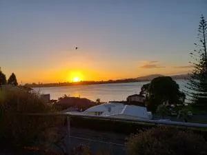 Garden Court Motel - Greerton