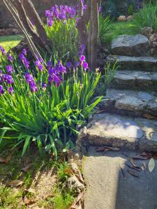 Maisons de vacances Location gite dans le var : photos des chambres