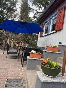 Ferienhaus Talblick, im Luftkurort Finsterbergen