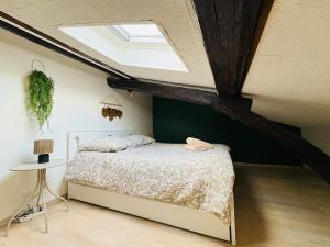 Appartements Appartement Proche Place Soult l 2 CH l Climatise : photos des chambres