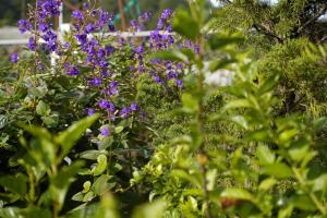 GREENECO DA LAT HOTEL - Khách sạn Green Eco Đà Lạt