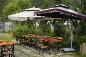 GREENECO DA LAT HOTEL - Khách sạn Green Eco Đà Lạt