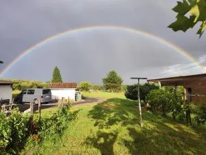 Authentic farm stay - Pomarez