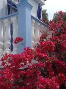 Meltemia Studio Samos near the beach