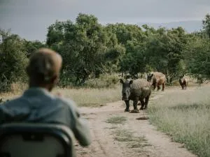 Rhino's Rest Private Luxury Villa - 提姆巴瓦提禁猎区