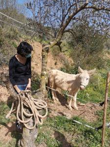 MASIA CAN SUNYER AGROTURISMO