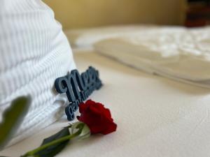 Hotel Ostseeblick - direkt hinter den Dünen