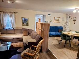 Apartment in Zaton (Zadar) with Air conditioning, WIFI, Washing machine (4828-1) 