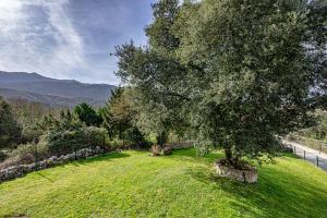 Tia Marina, megustarural