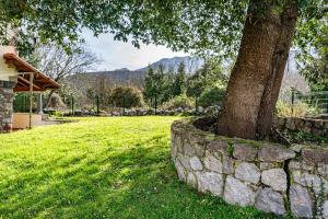 Tia Marina, megustarural