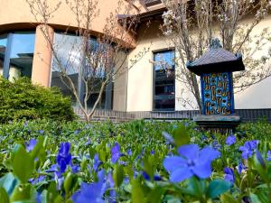 Caramell Premium Resort